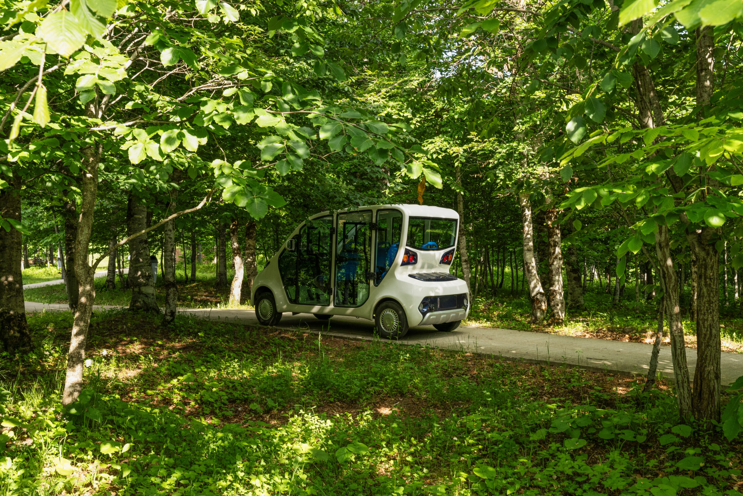 ტყე-პარკი